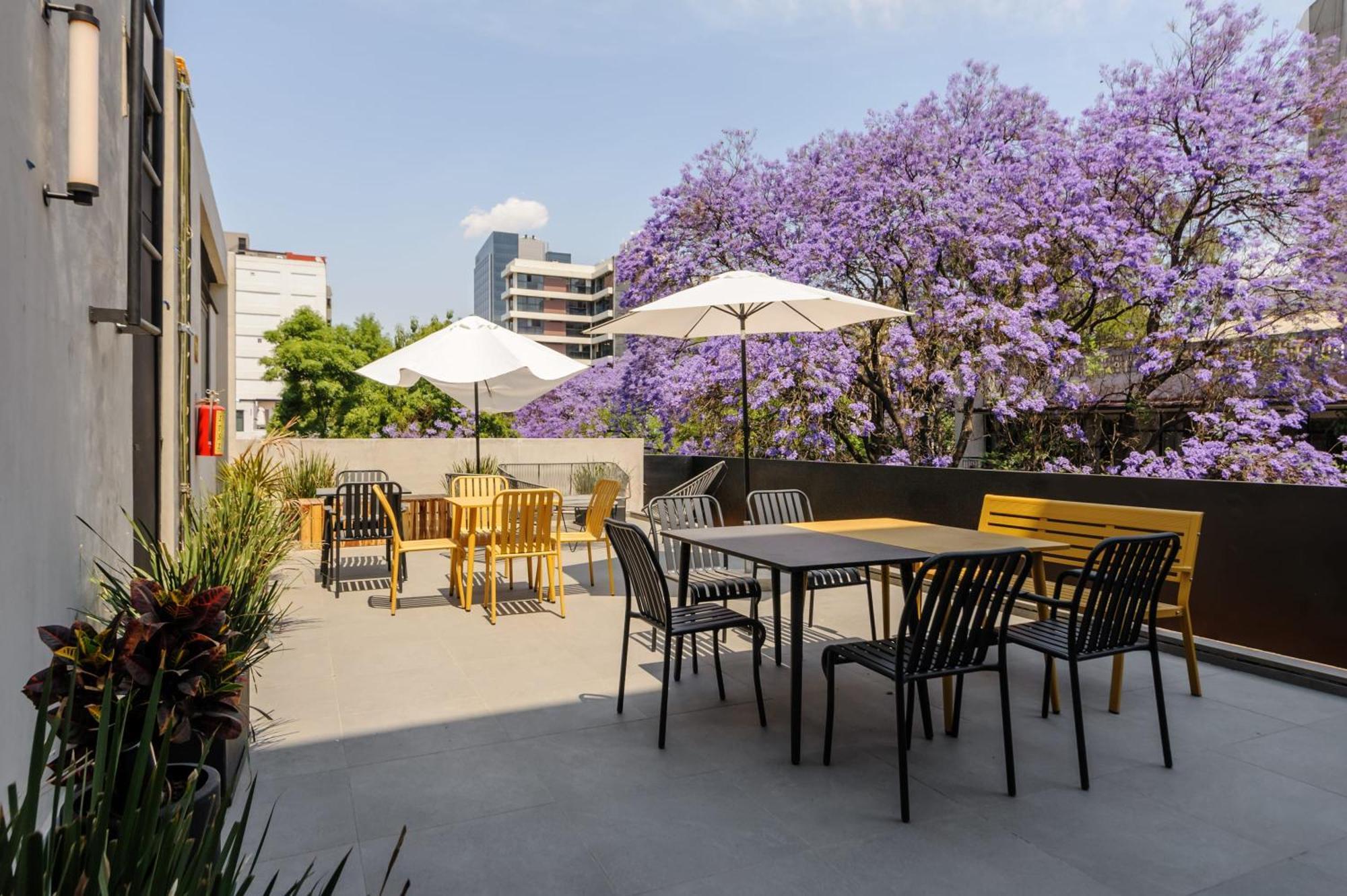 Lamartine 205 By Wynwood House Mexico City Exterior photo